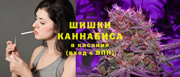 ешки Алзамай
