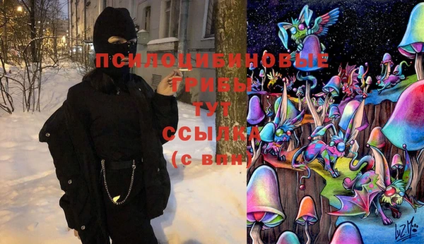 ешки Алзамай